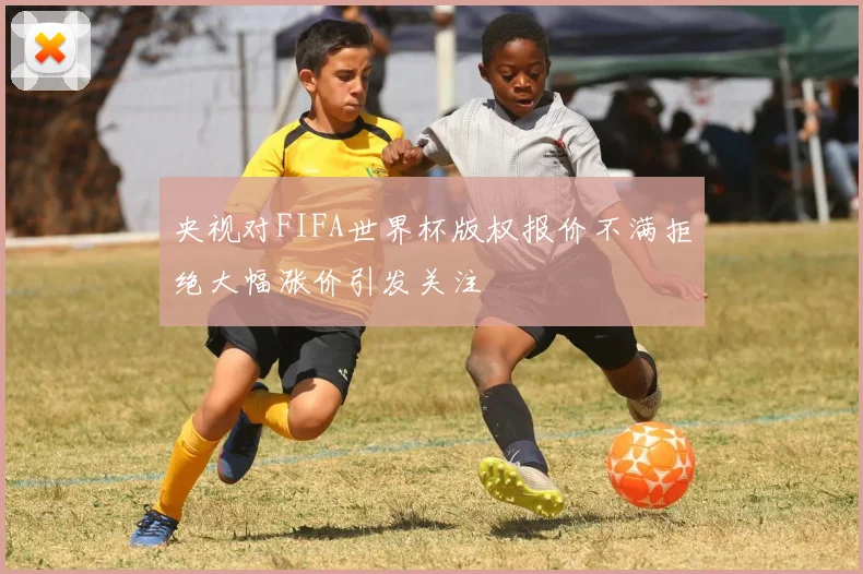 央视对FIFA世界杯版权报价不满拒绝大幅涨价引发关注