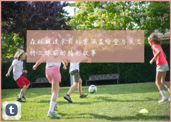 森林狼追求目标曾涵盖哈登与莫兰特三球前的精彩故事